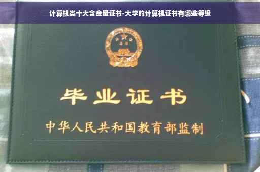 计算机类十大含金量证书-大学的计算机证书有哪些等级