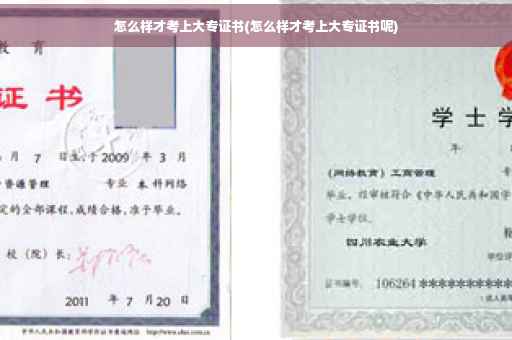 怎么样才考上大专证书(怎么样才考上大专证书呢)