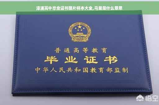 漳浦高中毕业证书图片样本大全,马童是什么意思
