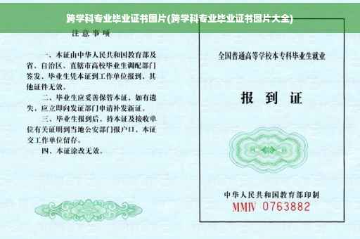跨学科专业毕业证书图片(跨学科专业毕业证书图片大全)