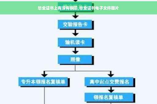 毕业证书上有没有钢印,毕业证书电子文件图片