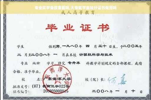 专业奖学金很重要吗,大专奖学金加分证书有用吗