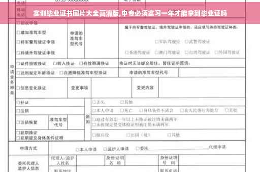 实训毕业证书图片大全高清版,中专必须实习一年才能拿到毕业证吗 实训毕业证书图片大全高清版,中专必须实习一年才能拿到毕业证吗