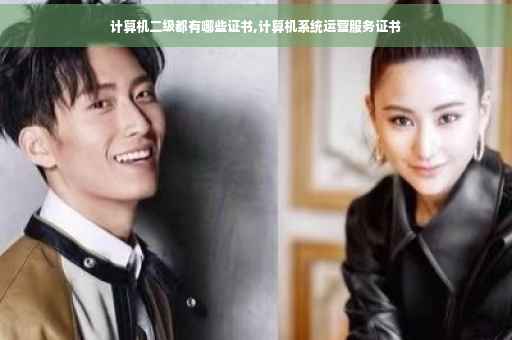 计算机二级都有哪些证书,计算机系统运营服务证书
