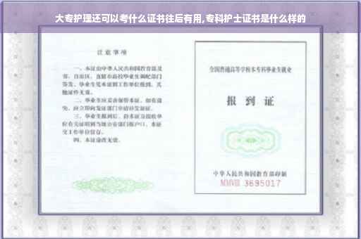 大专护理还可以考什么证书往后有用,专科护士证书是什么样的