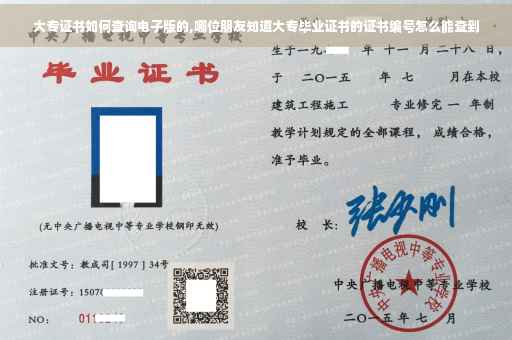 大专证书如何查询电子版的,哪位朋友知道大专毕业证书的证书编号怎么能查到