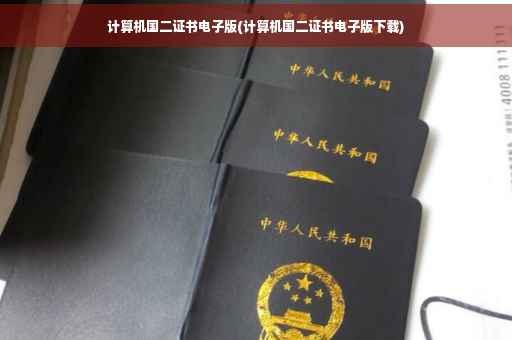 计算机国二证书电子版(计算机国二证书电子版下载)