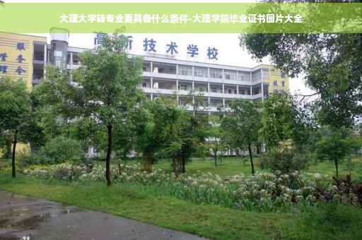 大理大学转专业要具备什么条件-大理学院毕业证书图片大全