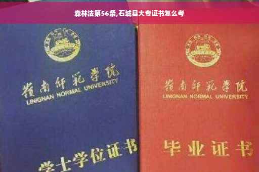森林法第56条,石城县大专证书怎么考