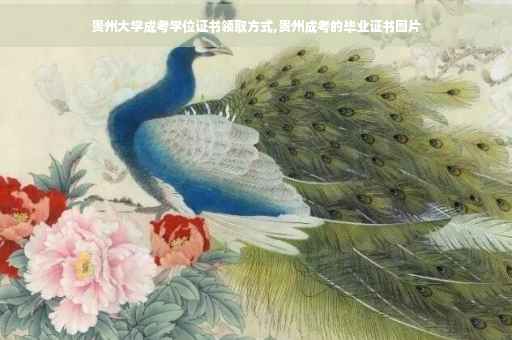 贵州大学成考学位证书领取方式,贵州成考的毕业证书图片