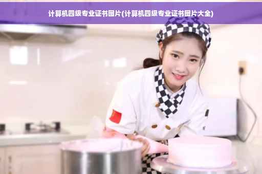 计算机四级专业证书图片(计算机四级专业证书图片大全)