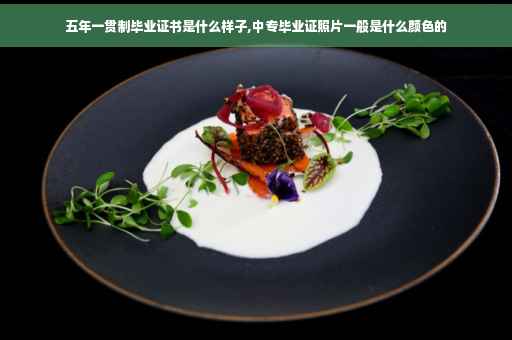 五年一贯制毕业证书是什么样子,中专毕业证照片一般是什么颜色的
