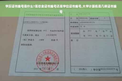 学历证书编号是什么?是毕业证书编号还是学位证书编号,大学计算机是几级证书编号