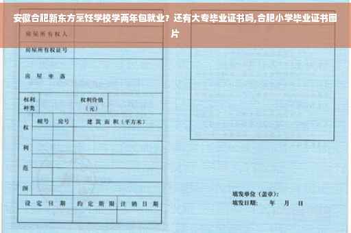 安徽合肥新东方烹饪学校学两年包就业？还有大专毕业证书吗,合肥小学毕业证书图片
