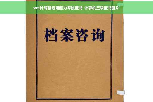 vct计算机应用能力考试证书-计算机三级证书图片
