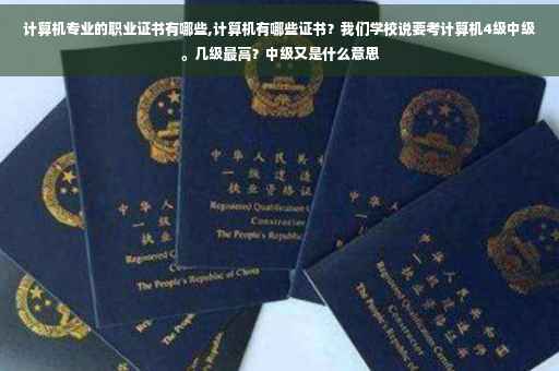 计算机专业的职业证书有哪些,计算机有哪些证书？我们学校说要考计算机4级中级。几级最高？中级又是什么意思