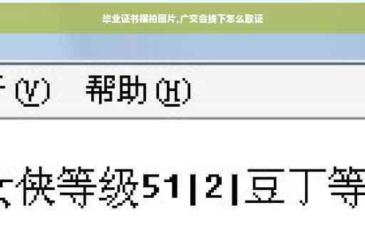 毕业证书摆拍图片,广交会线下怎么取证