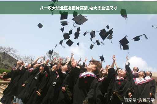 八一农大毕业证书图片高清,电大毕业证尺寸