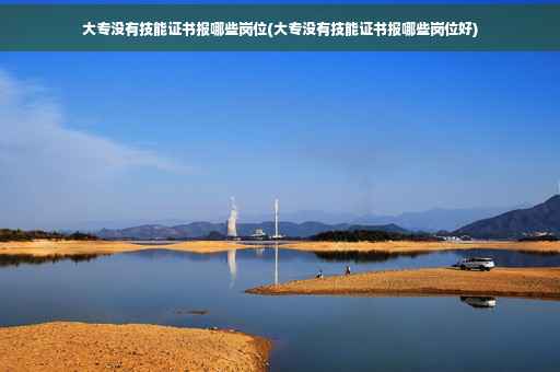 大专没有技能证书报哪些岗位(大专没有技能证书报哪些岗位好)