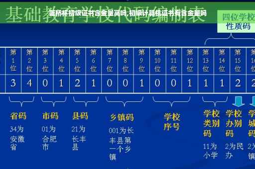 蓝桥杯初级证书含金量高吗,初级计算机证书有含金量吗