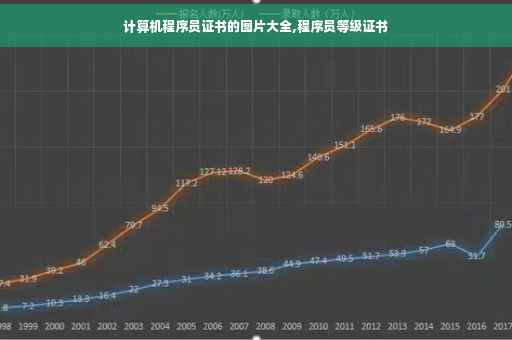 计算机程序员证书的图片大全,程序员等级证书