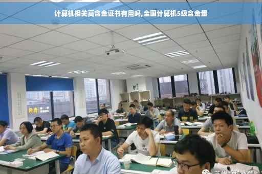 计算机相关高含金证书有用吗,全国计算机5级含金量