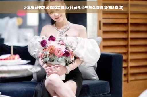 计算机证书怎么查物流信息(计算机证书怎么查物流信息查询)