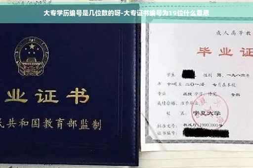 大专学历编号是几位数的呀-大专证书编号为19位什么意思