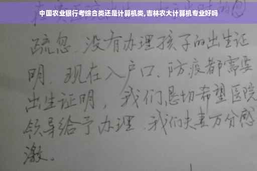 中国农业银行考综合类还是计算机类,吉林农大计算机专业好吗