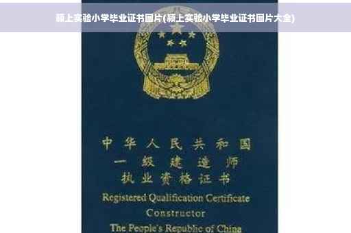 颍上实验小学毕业证书图片(颍上实验小学毕业证书图片大全)