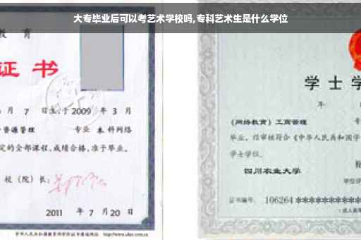大专毕业后可以考艺术学校吗,专科艺术生是什么学位
