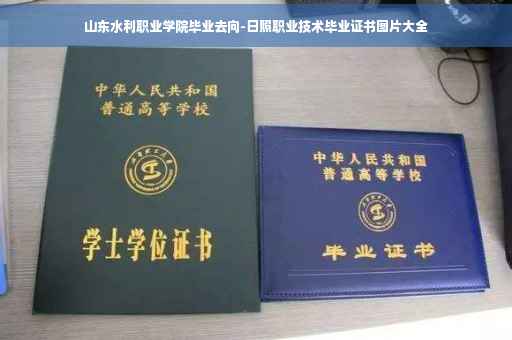 山东水利职业学院毕业去向-日照职业技术毕业证书图片大全
