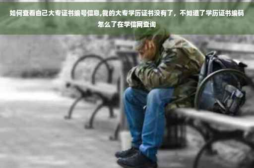 如何查看自己大专证书编号信息,我的大专学历证书没有了，不知道了学历证书编码怎么了在学信网查询