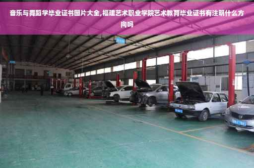 音乐与舞蹈学毕业证书图片大全,福建艺术职业学院艺术教育毕业证书有注明什么方向吗