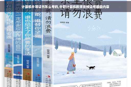 计算机中等证书怎么考的,中职计算机教师资格证考哪些内容