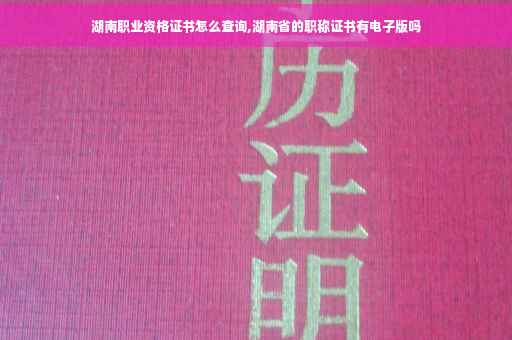 湖南职业资格证书怎么查询,湖南省的职称证书有电子版吗