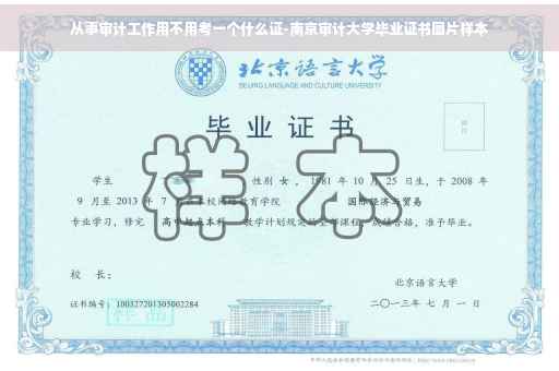 从事审计工作用不用考一个什么证-南京审计大学毕业证书图片样本