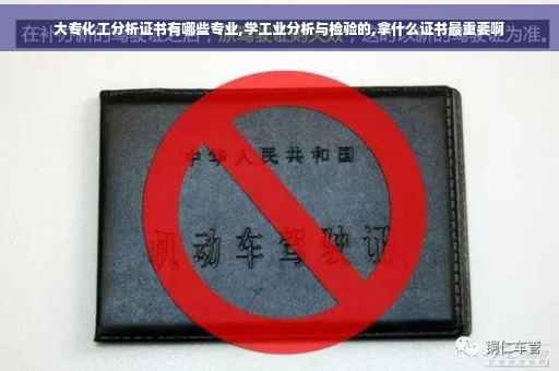 大专化工分析证书有哪些专业,学工业分析与检验的,拿什么证书最重要啊