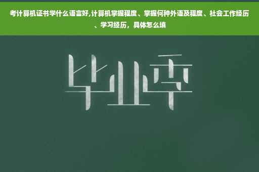 考计算机证书学什么语言好,计算机掌握程度、掌握何种外语及程度、社会工作经历、学习经历，具体怎么填