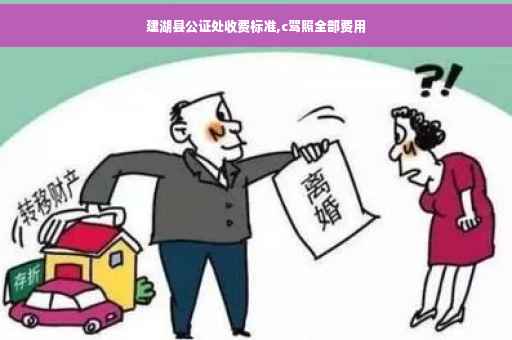 建湖县公证处收费标准,c驾照全部费用