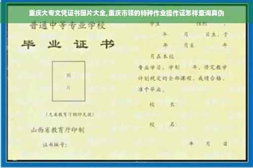 重庆大专文凭证书图片大全,重庆市领的特种作业操作证怎样查询真伪