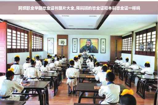 阿坝职业学院毕业证书图片大全,预科班的毕业证和本科毕业证一样吗