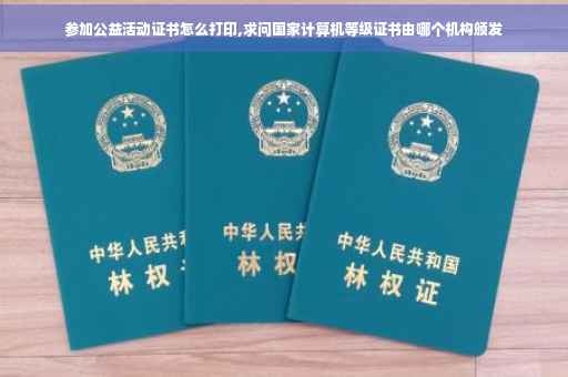 参加公益活动证书怎么打印,求问国家计算机等级证书由哪个机构颁发