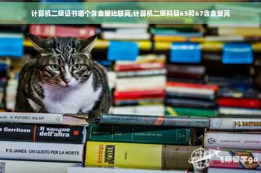 计算机二级证书哪个含金量比较高,计算机二级科目65和67含金量高 计算机二级证书哪个含金量比较高,计算机二级科目65和67含金量高