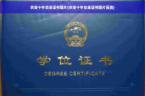 农安十中毕业证书图片(农安十中毕业证书图片高清)