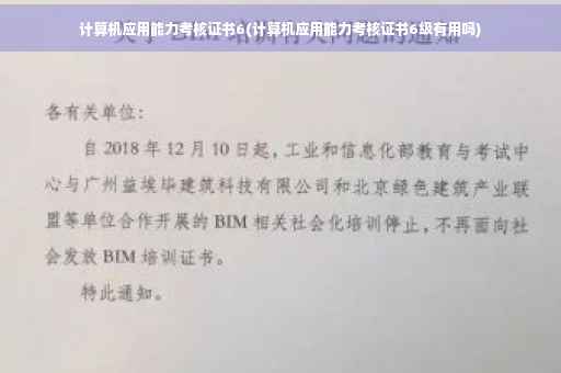 计算机应用能力考核证书6(计算机应用能力考核证书6级有用吗)