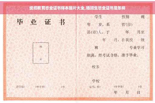 统招教育毕业证书样本图片大全,插班生毕业证书是怎样