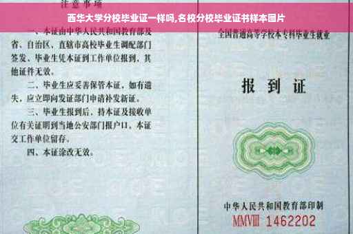 西华大学分校毕业证一样吗,名校分校毕业证书样本图片