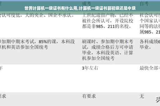 世界计算机一级证书有什么用,计算机一级证书算初级还是中级