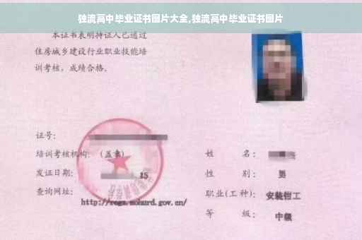 独流高中毕业证书图片大全,独流高中毕业证书图片